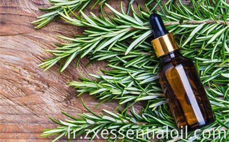 Rosemary Essential Oil 6